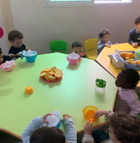 WhatsApp Image 2024-12-01 at 17.05.04